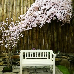 포천 웨딩 스튜디오 벚꽃나무