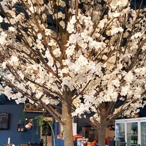시흥동 술집 카페 벚꽃나무