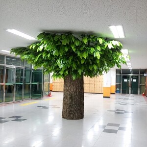 울산 언양고등학교 대형 나무 시공