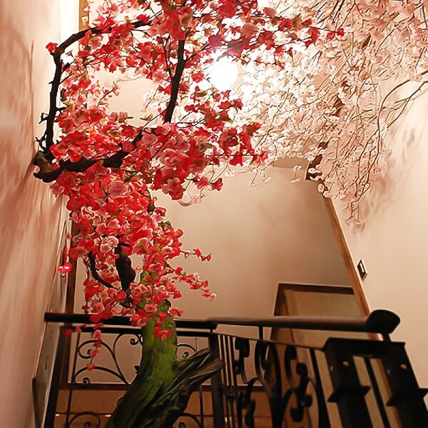 대전 포토 스튜디오 홍매화나무 벚꽃나무