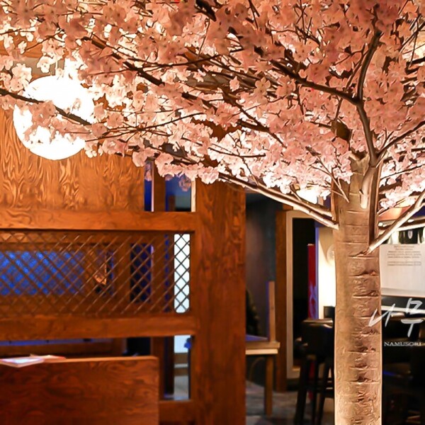 천안 일본식 주점 벚꽃나무